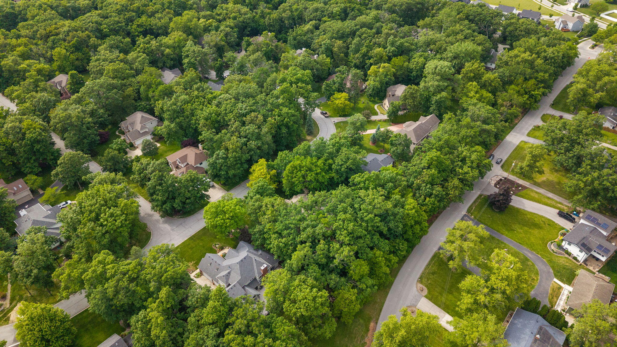 12227 S Williams Court, Crown Point, IN 46307; Image #68