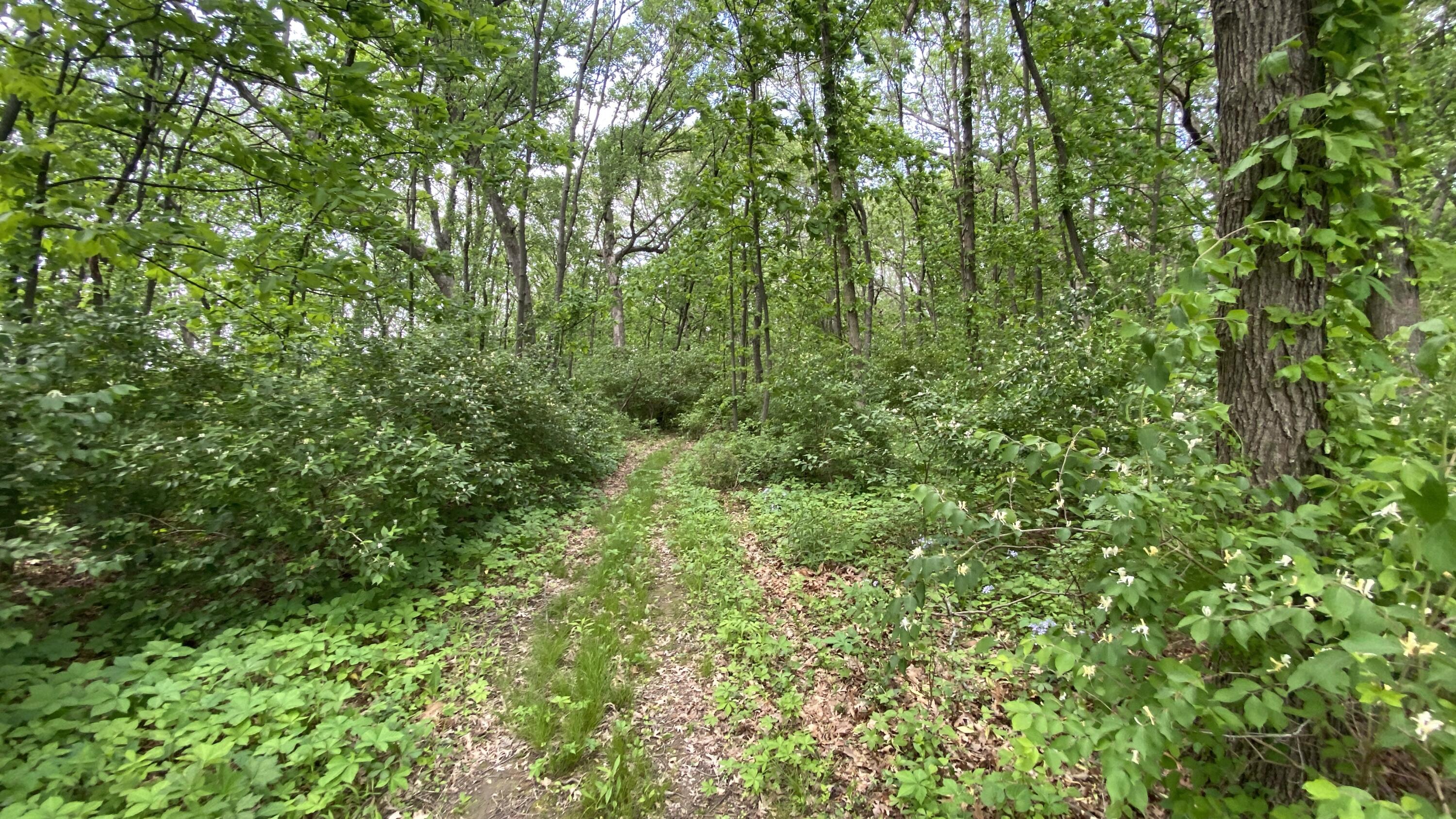 3000 E 121st Avenue, Crown Point, IN 46307; Image #88
