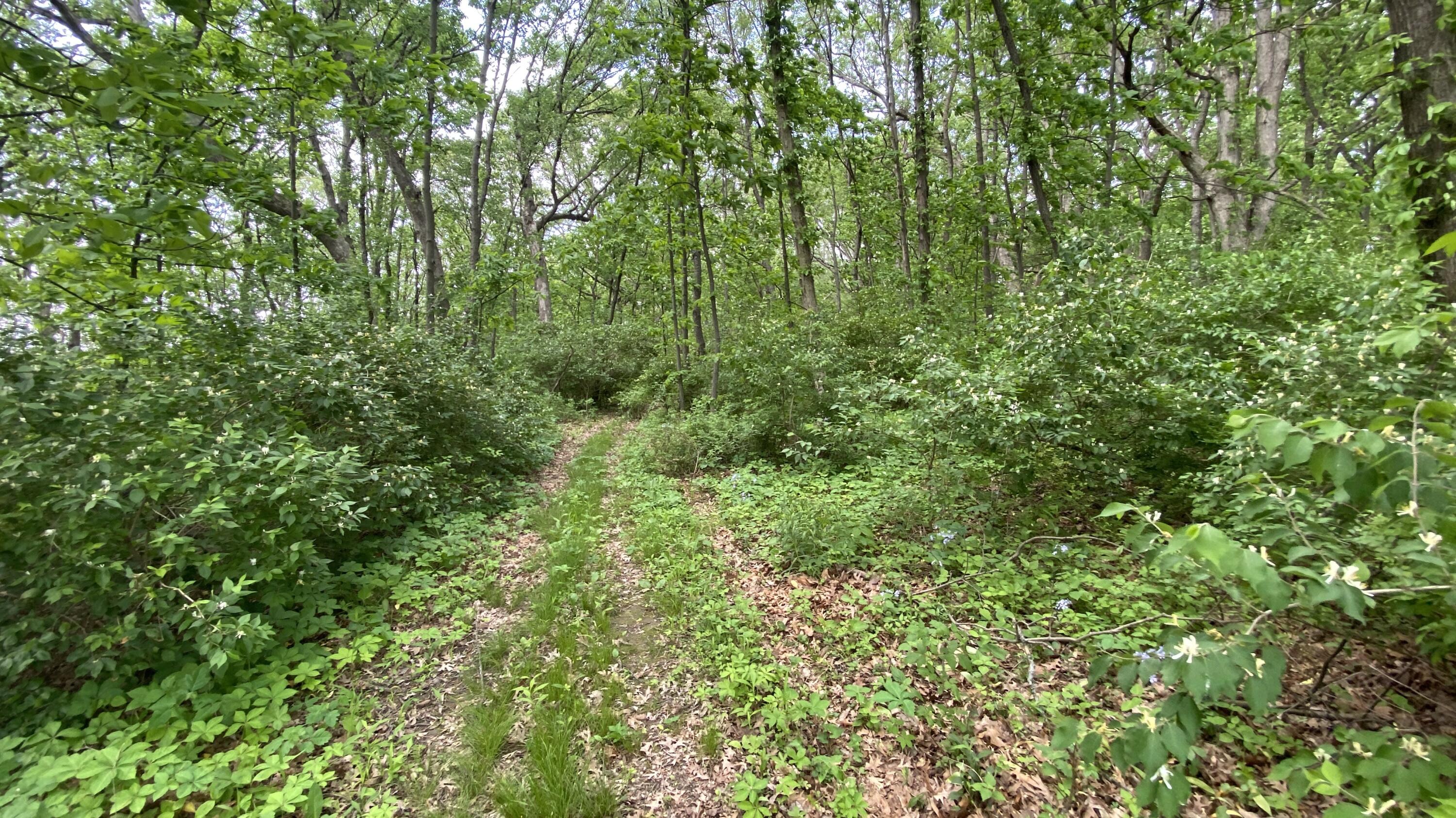 3000 E 121st Avenue, Crown Point, IN 46307; Image #89