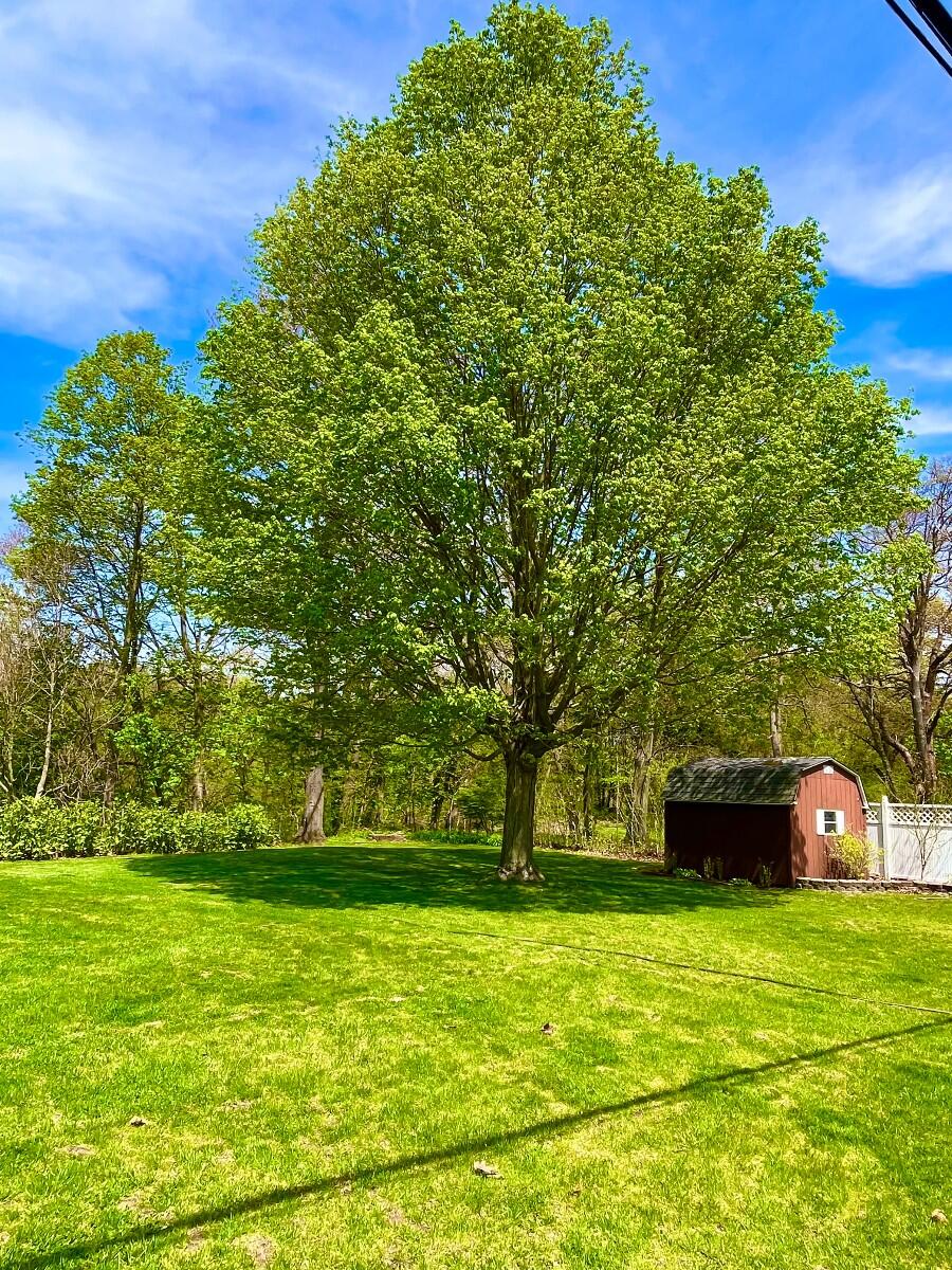 920 E Cleveland Avenue, Hobart, IN 46342; Image #20