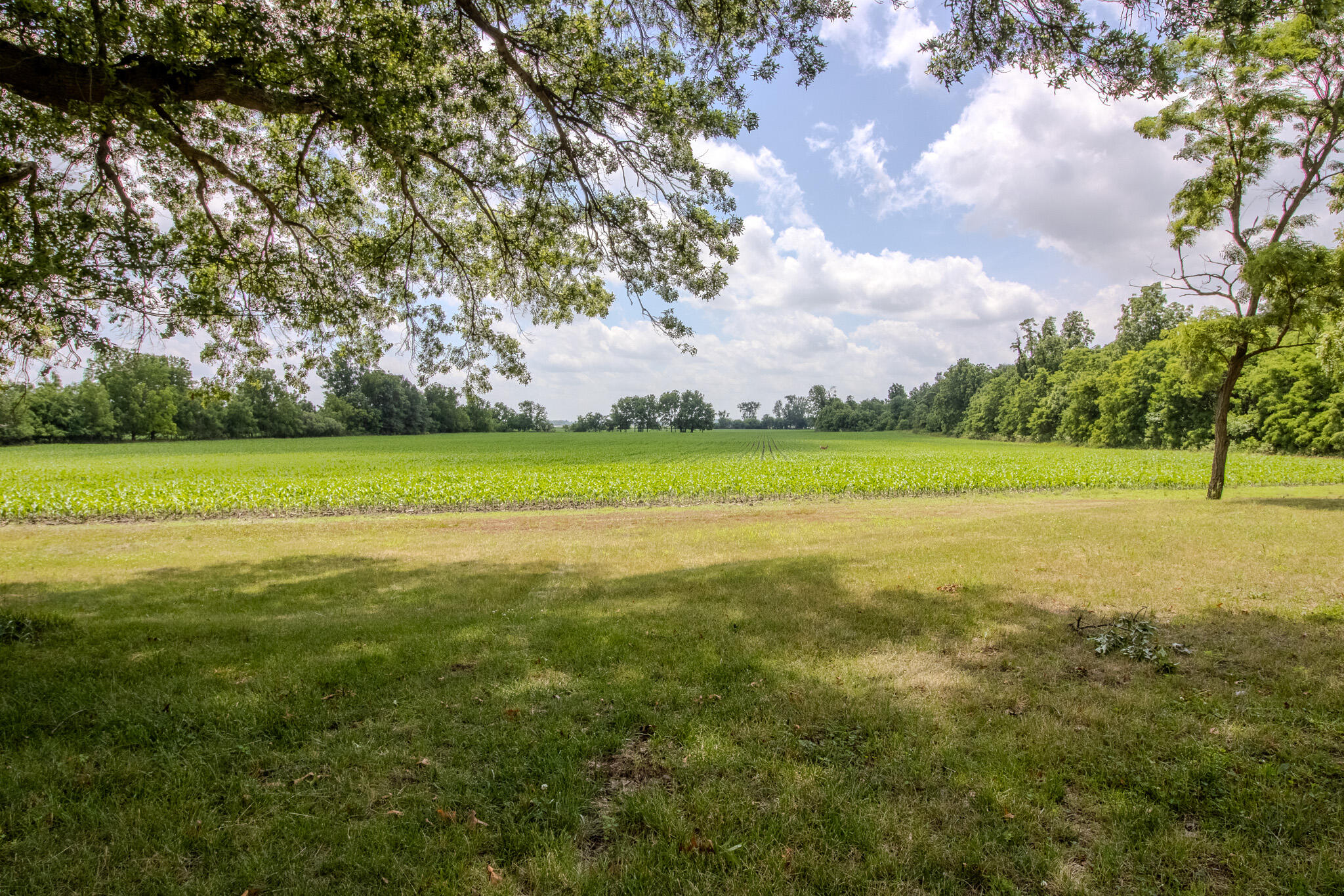 3915 W 200 N, Winamac, IN 46996; Image #16