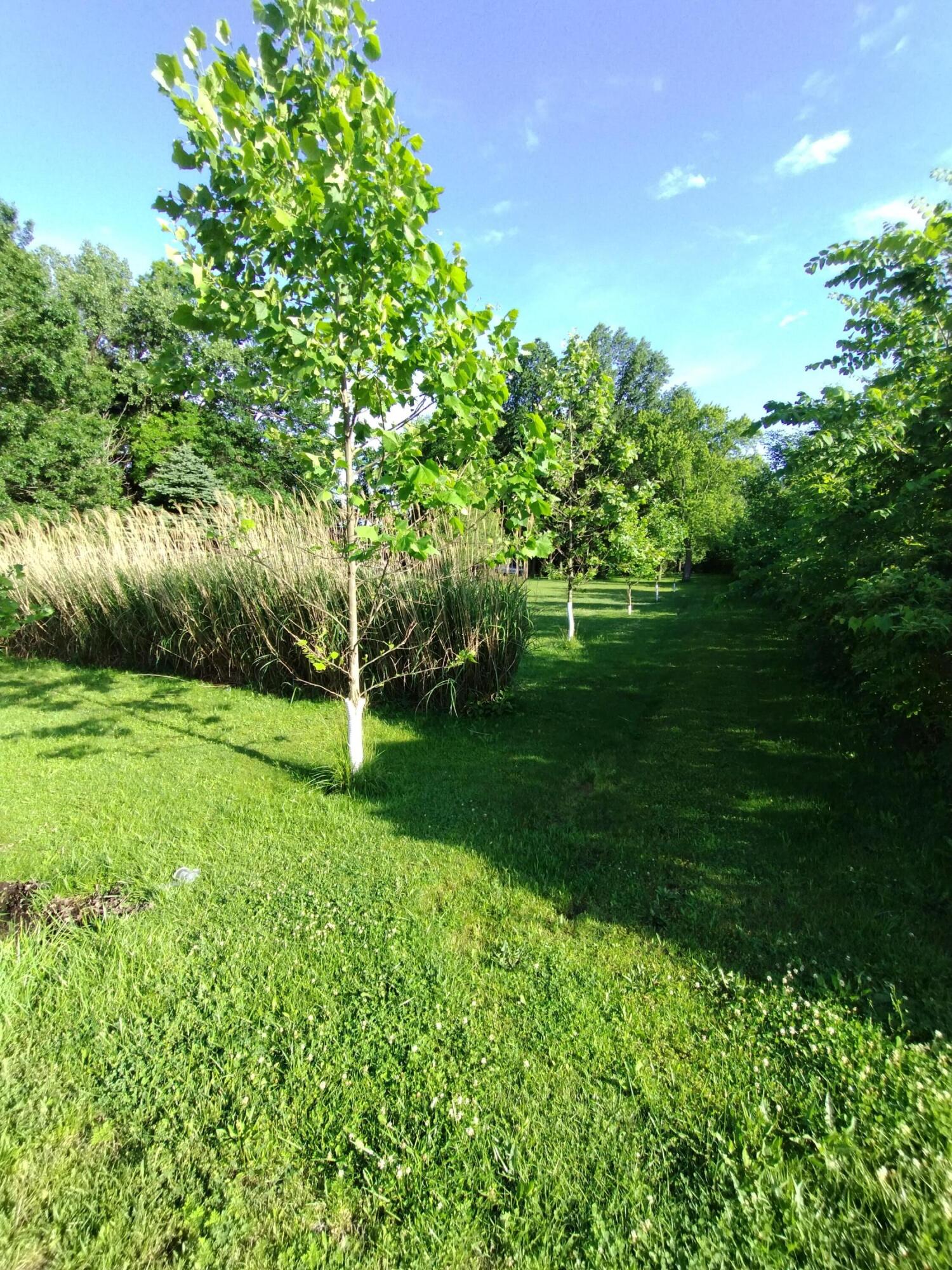 11202 W 400 N, Michigan City, IN 46360; Image #48