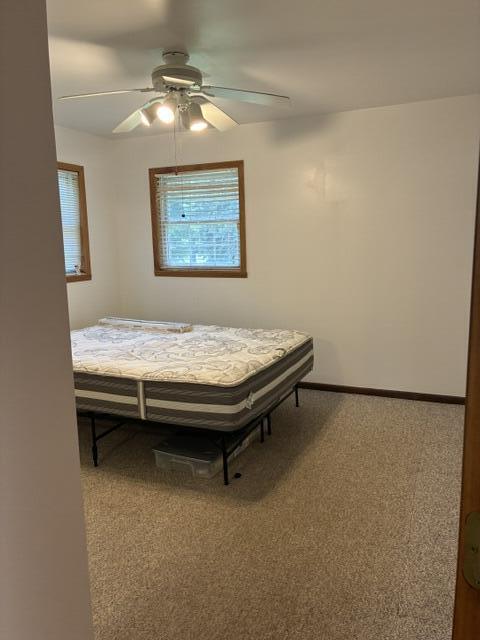 6952 Blackberry Court, DeMotte, IN 46310; Image #24