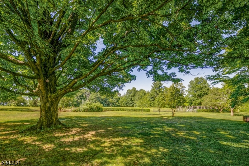 49 Liberty Corner Rd