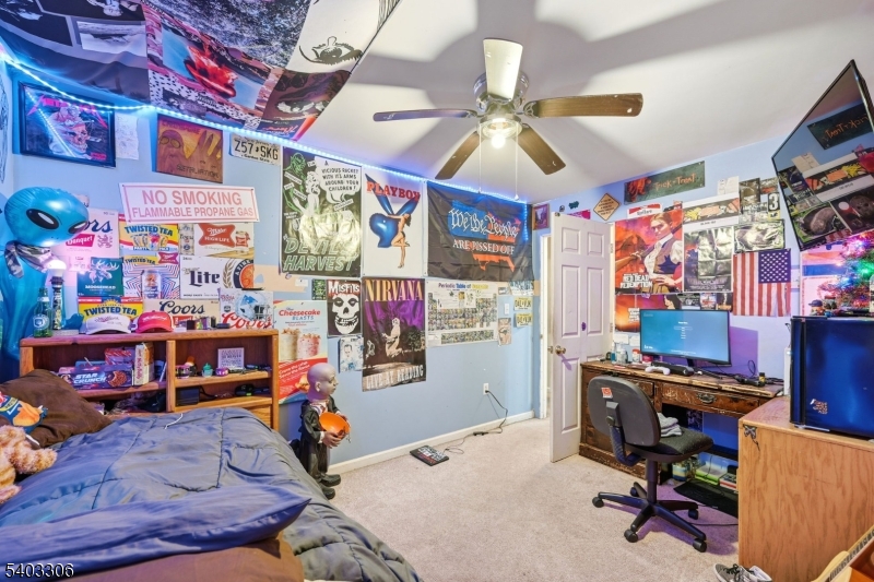 12 Quill St