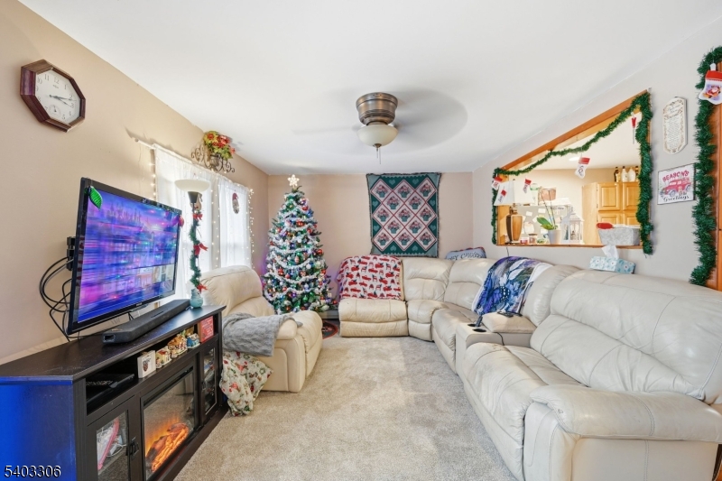 12 Quill St