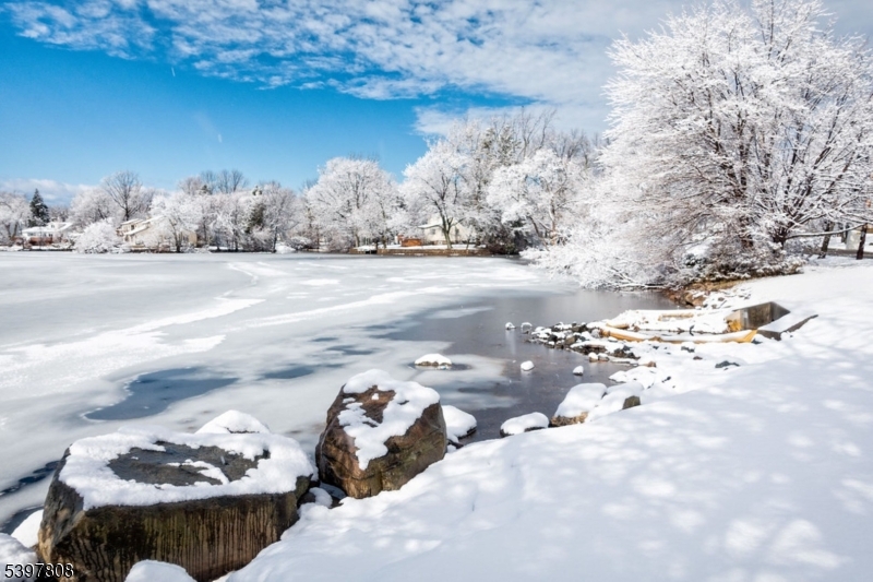 193 JACKSONVILLE DR.