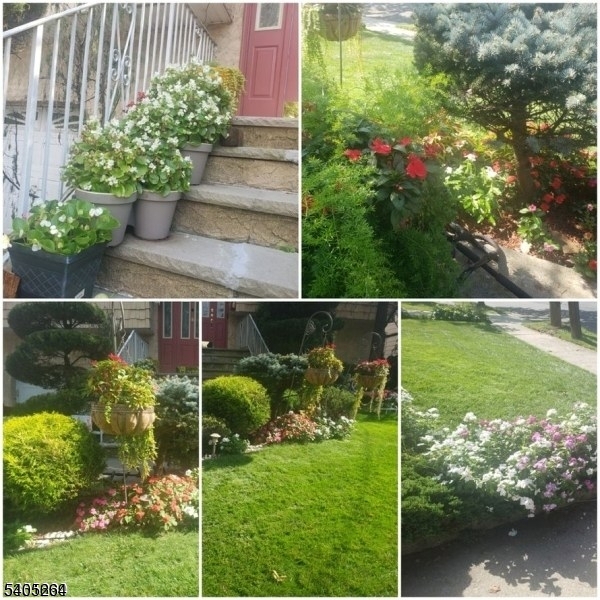 635 Bloomingdale Ave