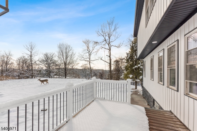 10 Old Rifle Camp Rd