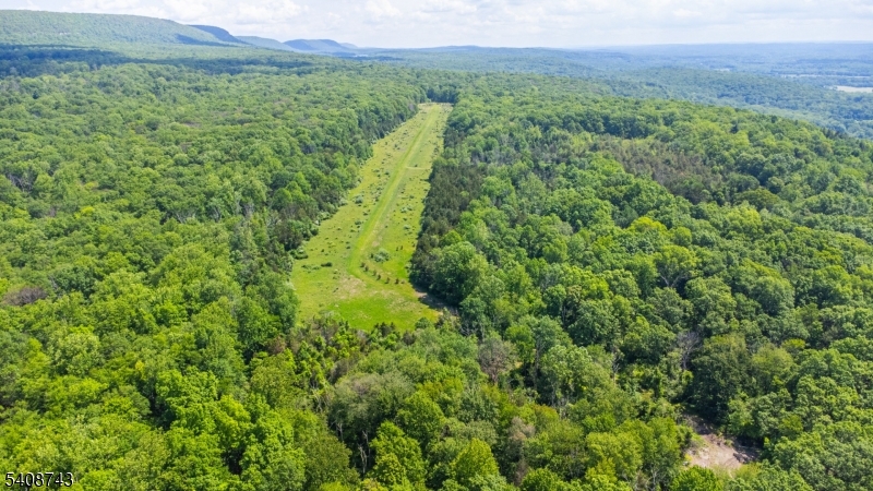 62 Mount Pleasant Rd