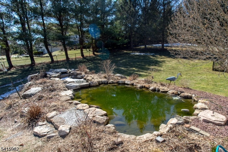 6 Clydesdale Ridge Rd