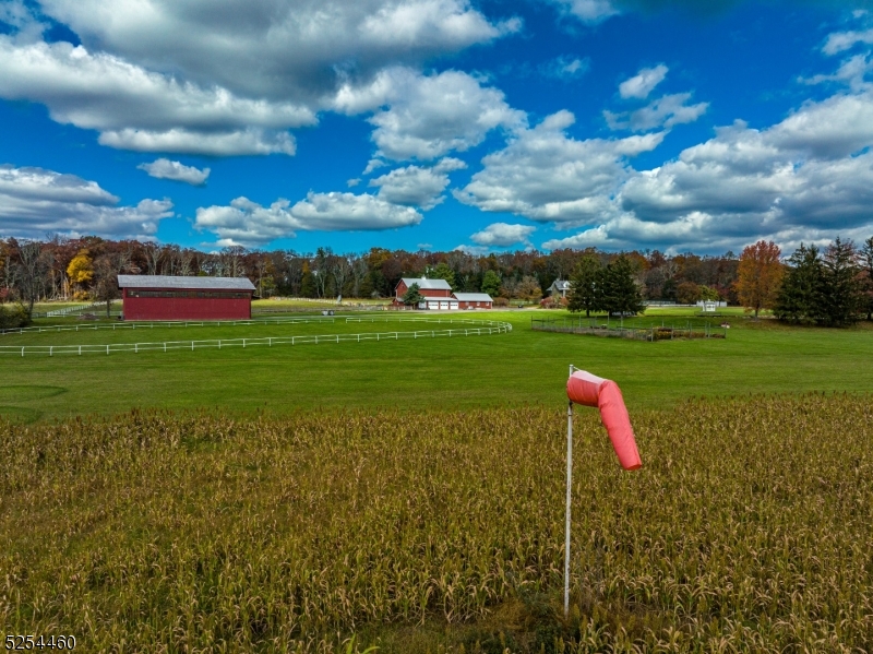 259 COUNTY ROAD 519