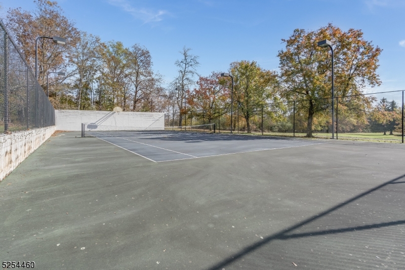 259 COUNTY ROAD 519