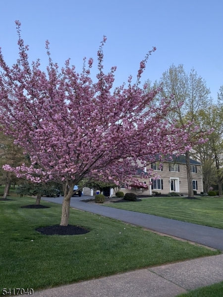 100 Knickerbocker Dr