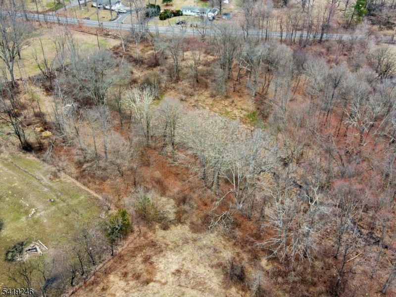75 Mount Hermon Rd