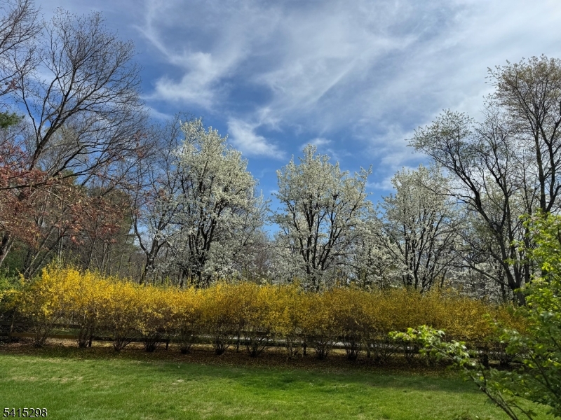 447 Rockaway Valley Rd