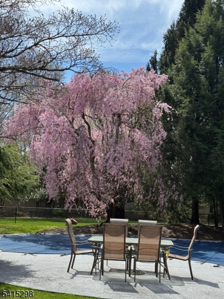 447 Rockaway Valley Rd