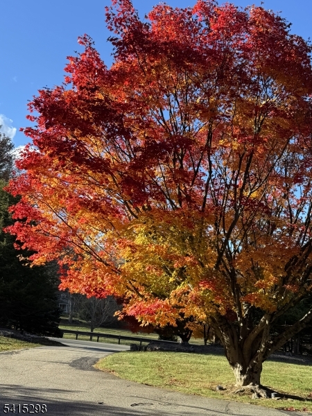 447 Rockaway Valley Rd