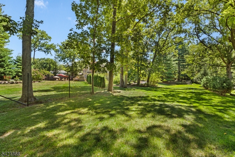 10 Turtleback Rd