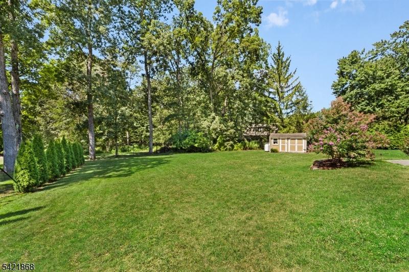 10 Turtleback Rd
