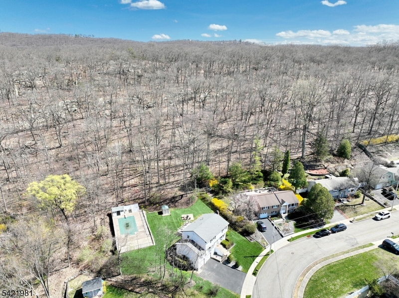26 Scrivani Dr
