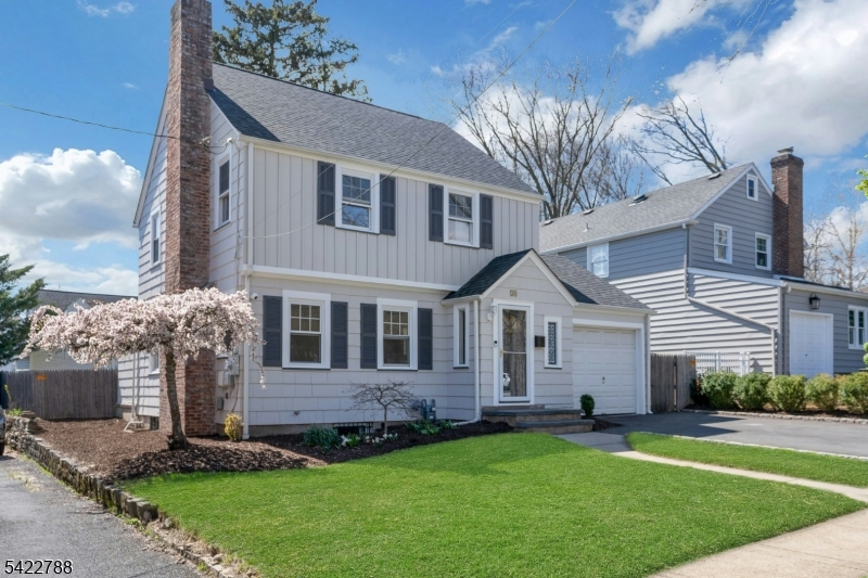 50 Cypress Street