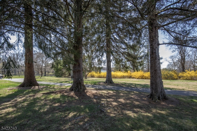 1 Scarlet Oak Rd