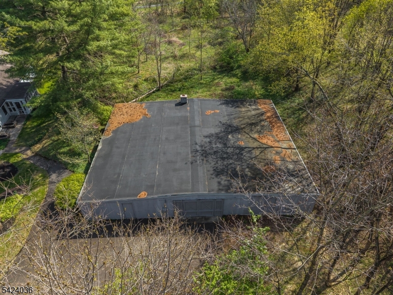 42 Welisewitz Rd
