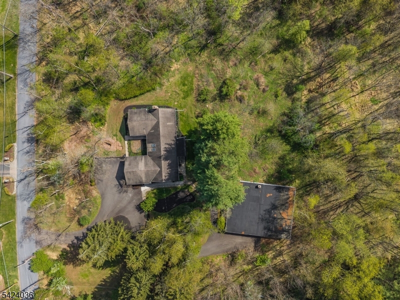 42 Welisewitz Rd