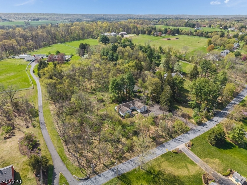 42 Welisewitz Rd