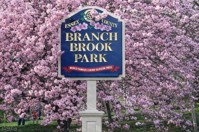 61 NJ Railroad Avenue #40