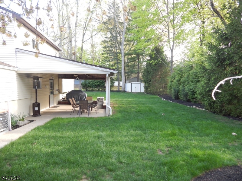 10 Lewis Rd