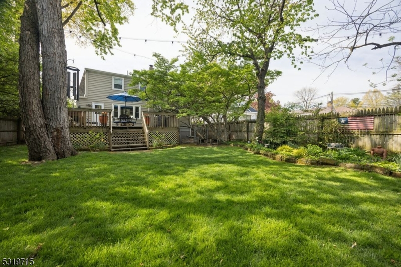 3 Bellevue Ave