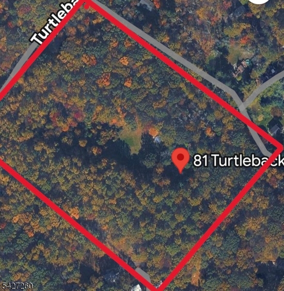 81 Turtleback Road