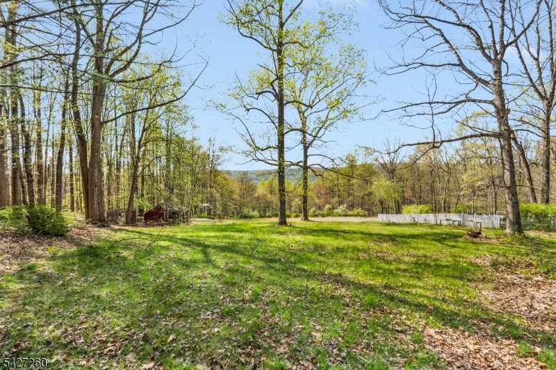 81 Turtleback Road