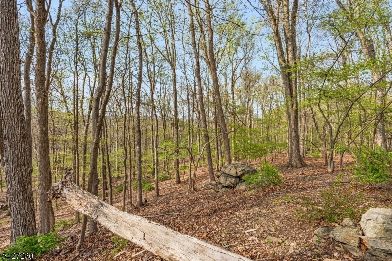 81 Turtleback Road