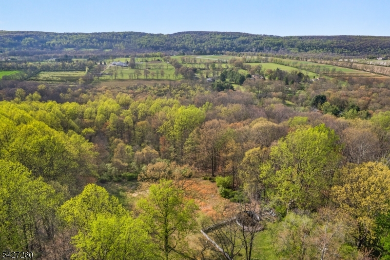 81 Turtleback Road