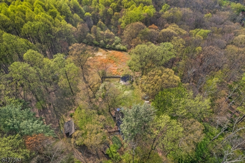 81 Turtleback Road