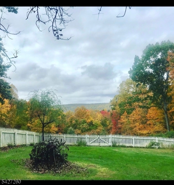81 Turtleback Road