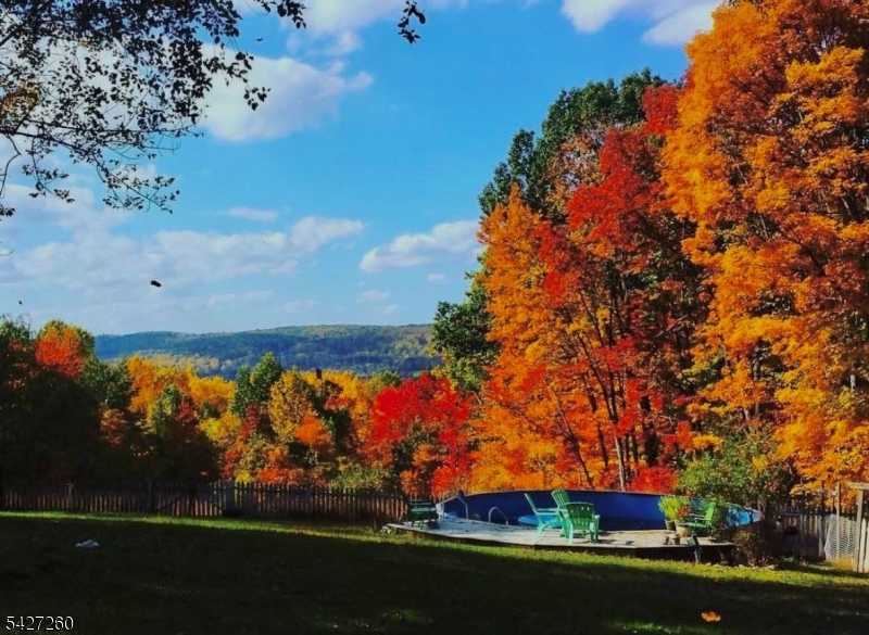 81 Turtleback Road