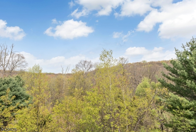 432 ROCK RIDGE ROAD