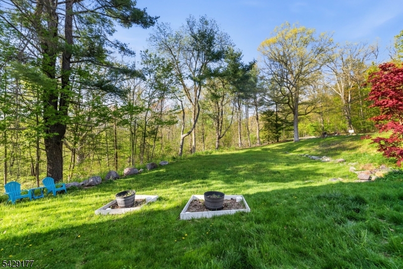 317 Morsetown Road