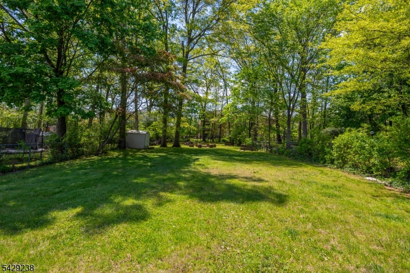 23 Frederick Pl