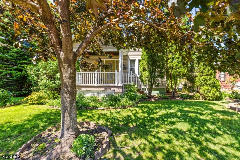 13 Willow St