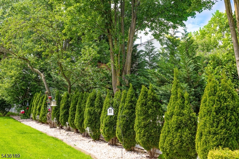 1710 Washington Valley