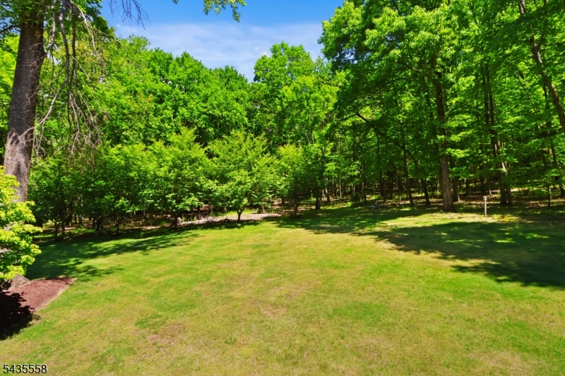 65 O Brien Rd