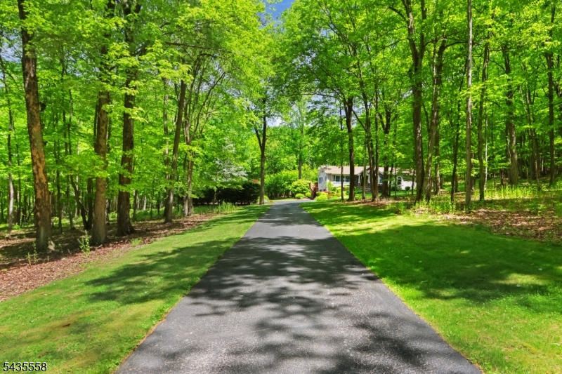 65 O Brien Rd