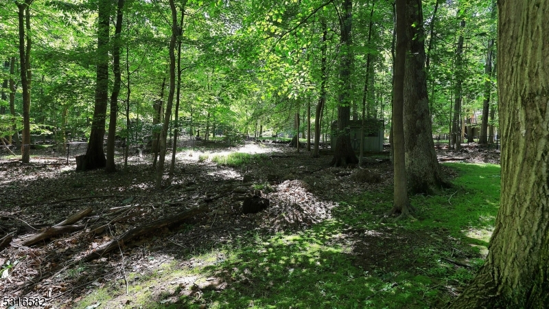 5 Johanna Ln