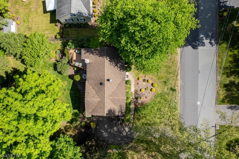 38 Forest Dr