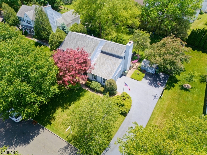 9 Chestnut Pl